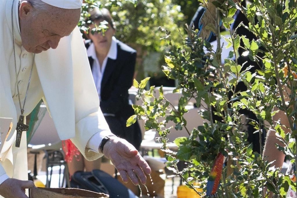 🌳 Gli alberi, quei preziosi alleati per la “casa comune”. Oggi la Giornata nazionale
👉 Ecco cosa si celebra: avveniredicalabria.it/giornata-degli…
#GiornataNazionale #Alberi #CasaComune #Ambiente #Natura #Sostenibilità #RisorseNaturali #Biodiversità #Conservazione #Ecosistema #Calabria