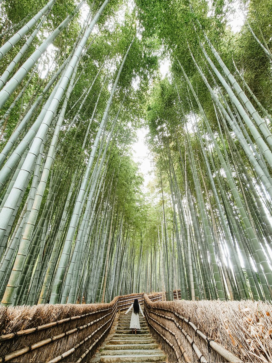 amarachiekekweh's tweet photo. Japan! 🇯🇵 A time was had!

10/10 recommend, can't wait to visit again!

https://t.co/NMT3iCWYgI https://t.co/ATuU21MYGW