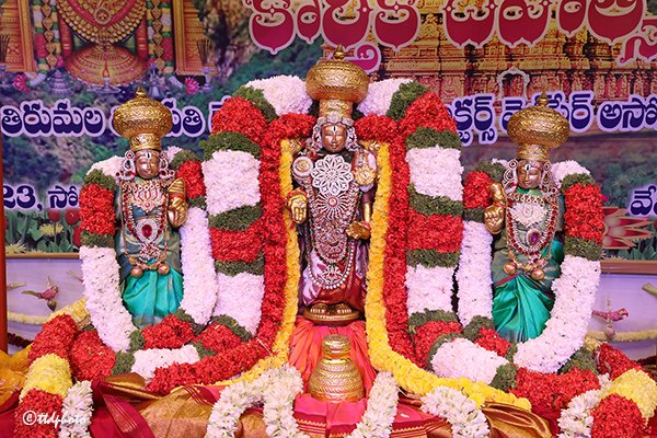 svbcttd's tweet image. The mega religious fete in the auspicious month of Karthika, the Karthika Deepotsavam organised by TTD for the third consecutive year under the aegis of All Dharmic Projects, stood as a stupendo fantabulous phantasmagorically magical hit on Monday evening.

#KarthikaDeepam