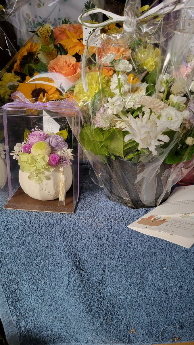 ジョッキーの嫁じょ tweet media