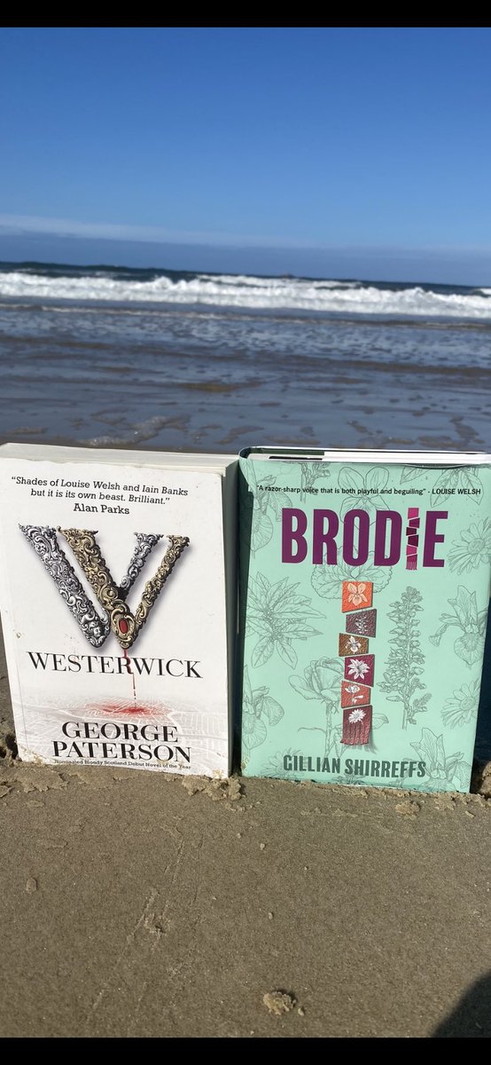 welshjb's tweet photo. Westerwick and Brodie are on their holidays in Byron Bay 🇦🇺
Even photobombed by a passing dog 😂😂
@intocreative @gfpaterson @SunshineScot https://t.co/bZOHn7Df6r