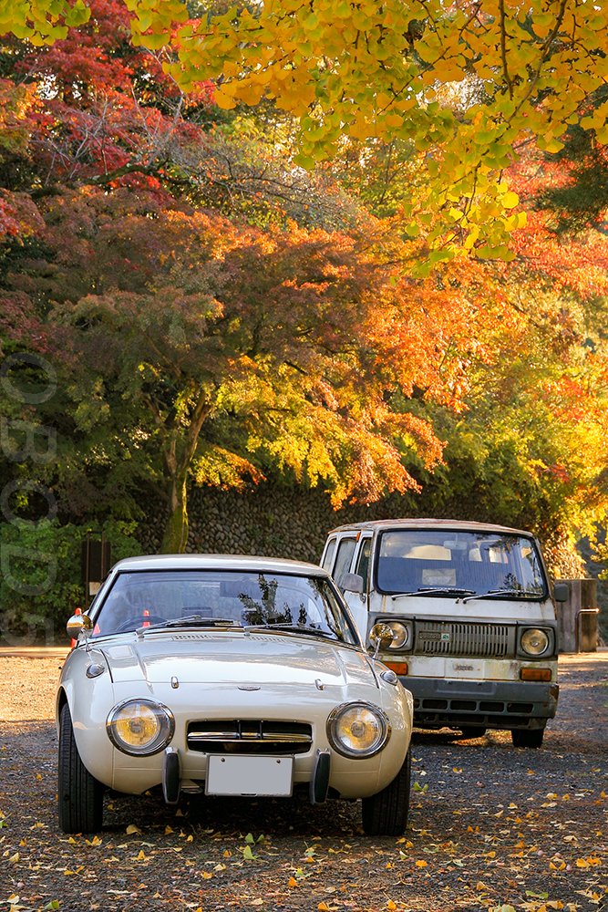 OBOD5's tweet photo. 先週土曜は 青梅宿懐古自動車同窓会 にお邪魔してきました📷昭和車と紅葉の素敵な光景🍂🚕関係者の皆様一日ありがとうございました!👏🙇#青梅宿懐古自動車同窓会 #ホンダバモス #マツダポータートラック #セリカLB2000GT #ホンダシビック #トヨタスポーツ800 #昭和の車 #旧車イベント https://t.co/IenE4jmiLF