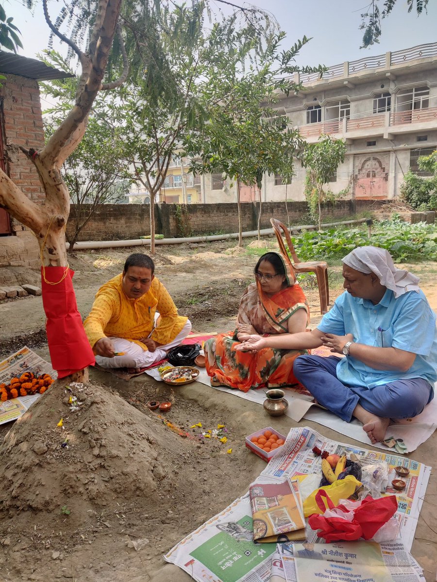 anku1963's tweet photo. @panditaAPMCC63 @autar_peshen @nirupamakotru @MonaADhar @Gash_Tarukh On the auspicious day of "Akshay Navami" or "Aawla 🌴 Navami",we pray to Lord Vishnu &amp;Maa Laxmi for well beings of all.Two Aawla 🌴 plants in my Orchard. https://t.co/dhUbNey13g