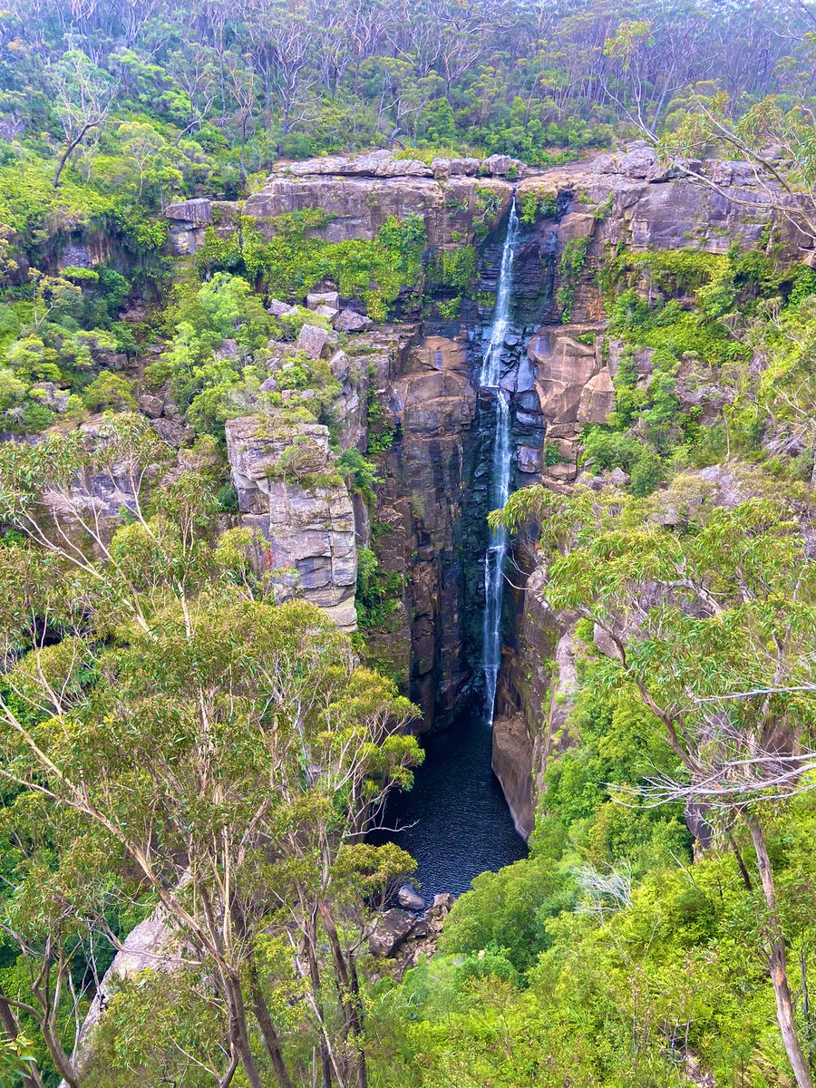 Stage5Curiosity's tweet photo. Stage 5 Curiosity and Empowerment project students capturing new heights  and facing fears at @IllawarraFly treetop-walk. The walking continued to Carrington Falls waterfall. Great day in nature, despite the weather @JamesMeehanHS https://t.co/Ra99ce7QCl