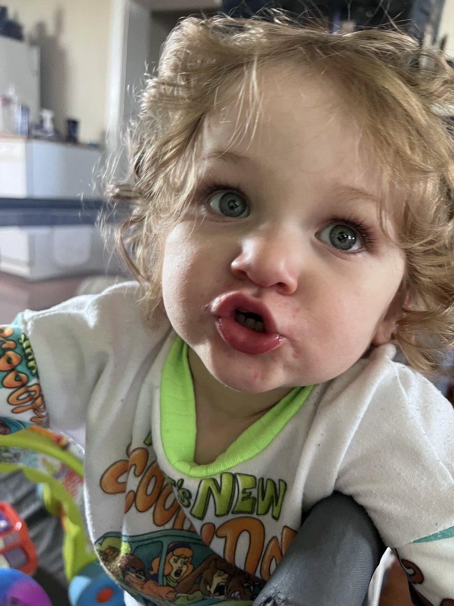 cole_dedra's tweet photo. Some pics of goob for your timeline. You’re welcome. https://t.co/YsBxVWvXNY