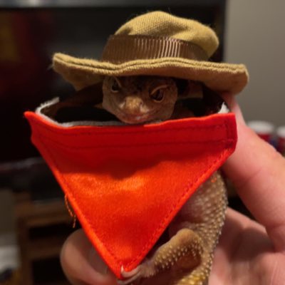 yourkreme's tweet photo. #NewProfilePic https://t.co/t4aNuyvBW9