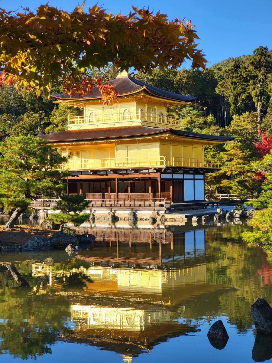 dharap's tweet photo. Kinkaku-ji temple #Kyoto #Japan https://t.co/3t2TUhaY92