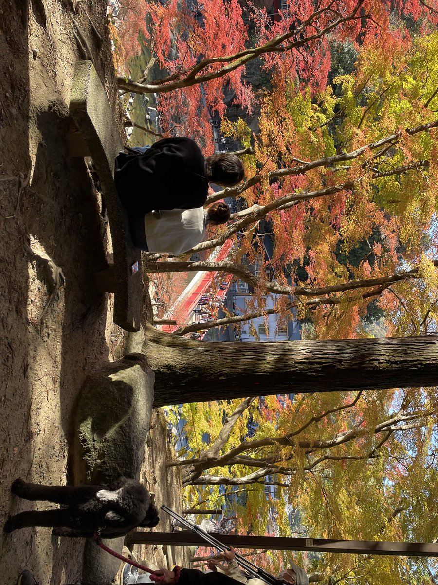 HaRuxHaLu_'s tweet photo. 昼からビール最高。 https://t.co/ONPHrgp125