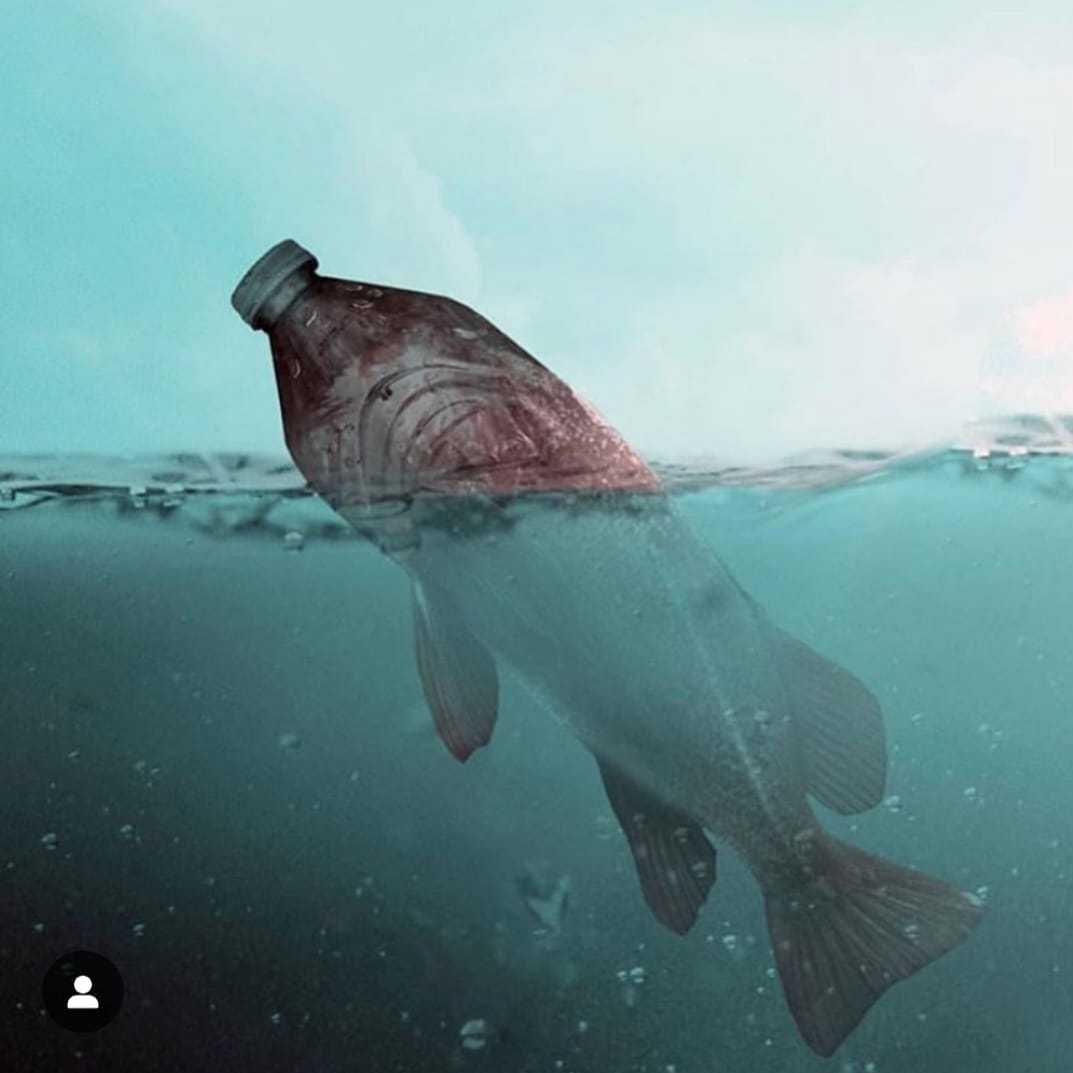 🐠🦀🦞🦪🐟🐳🦈🦐🐙🦑
Reply with your favourite emoji as a vote against plastic pollution - Our ocean needs us !
Small actions, big impact! 🌱💙 

#ReducePlastic 
Photo credit: @PangeaSeed