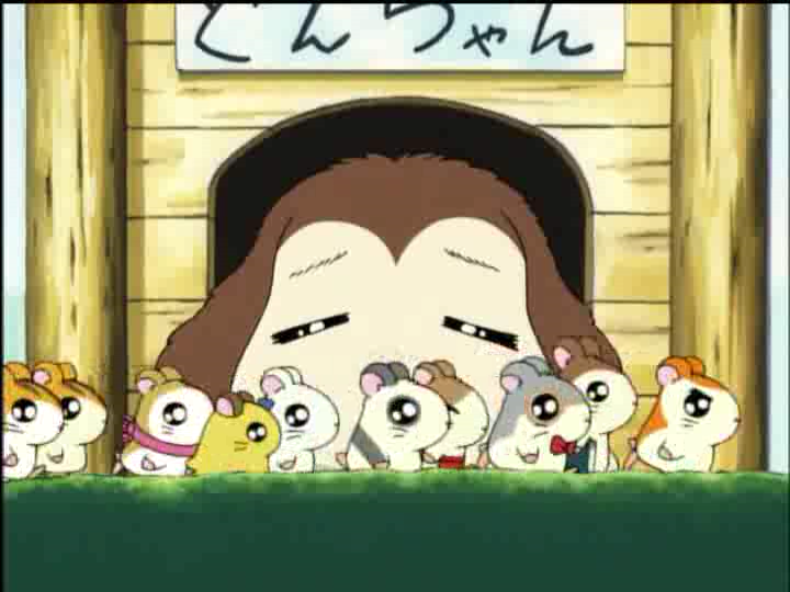 Hey Brandy. I brought some friends over どんちゃん