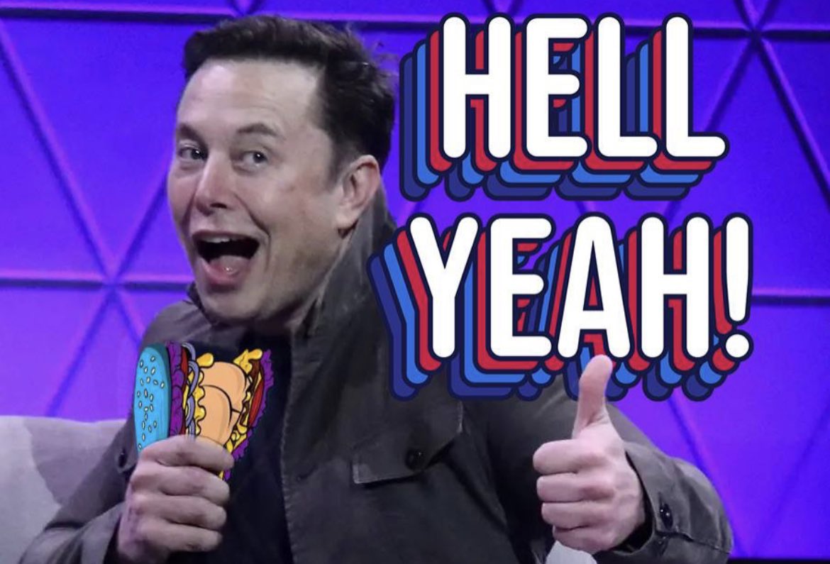 Hobodadaism's tweet photo. @elonmusk @assburgers_club https://t.co/GQJhD9hRw0