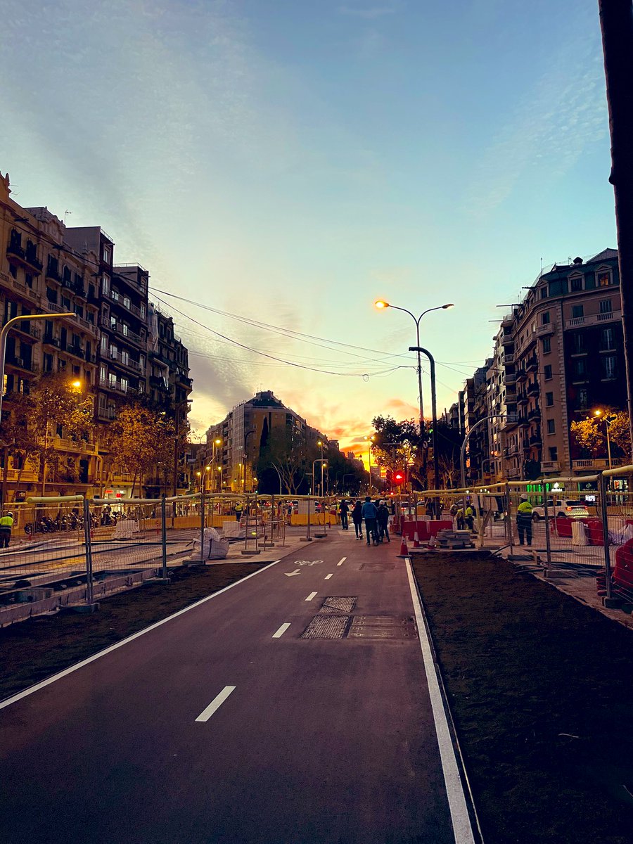 Daniel Serra tweet media