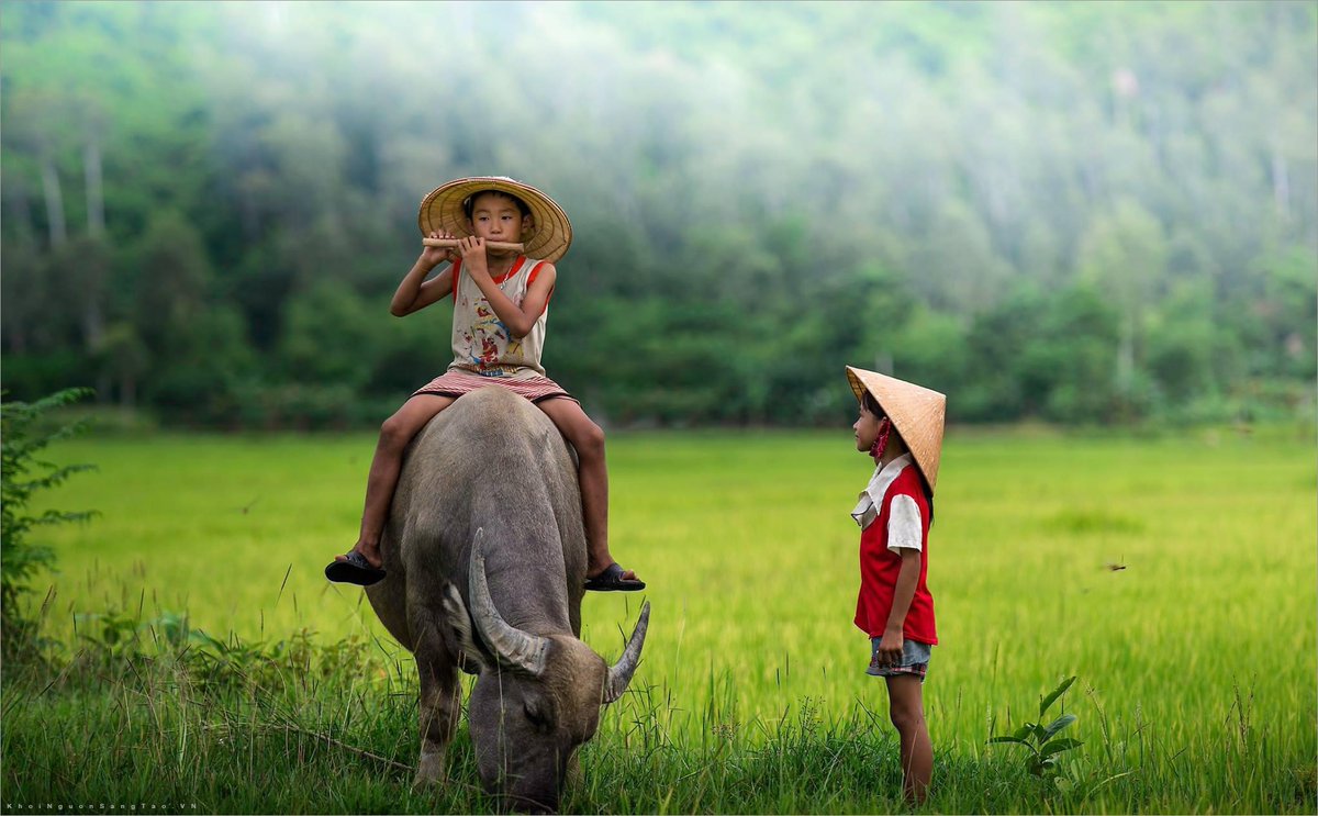 ThuongUvt's tweet photo. @phamthanhthuong
#thuong_uvt_test HIHIHIHI https://t.co/Tt2TbU08zj