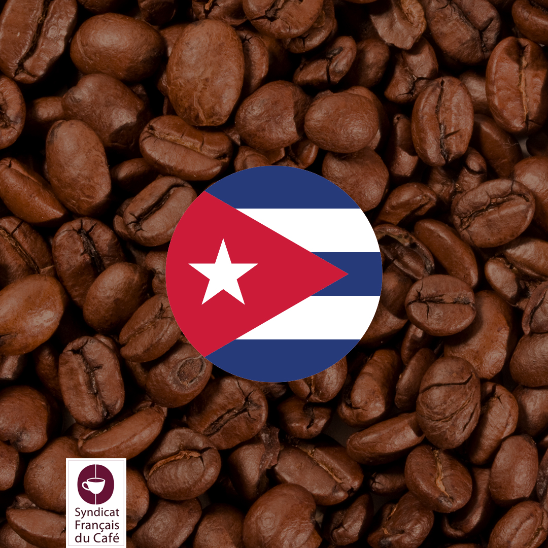 Syndicat Français du Café tweet media