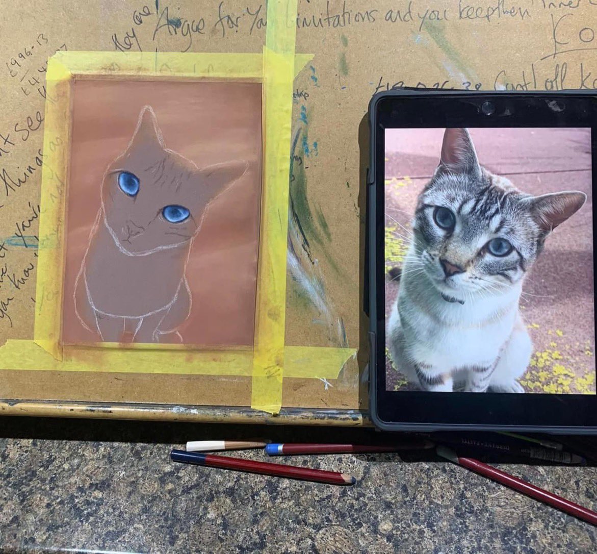 magic_peacock's tweet photo. I've been showing my 17 year old step-daughter some portrait skills and she drew her cat Oscar with ease. So proud of her achievement! #newartist #CatsOfTwitter https://t.co/huoLb03ISx