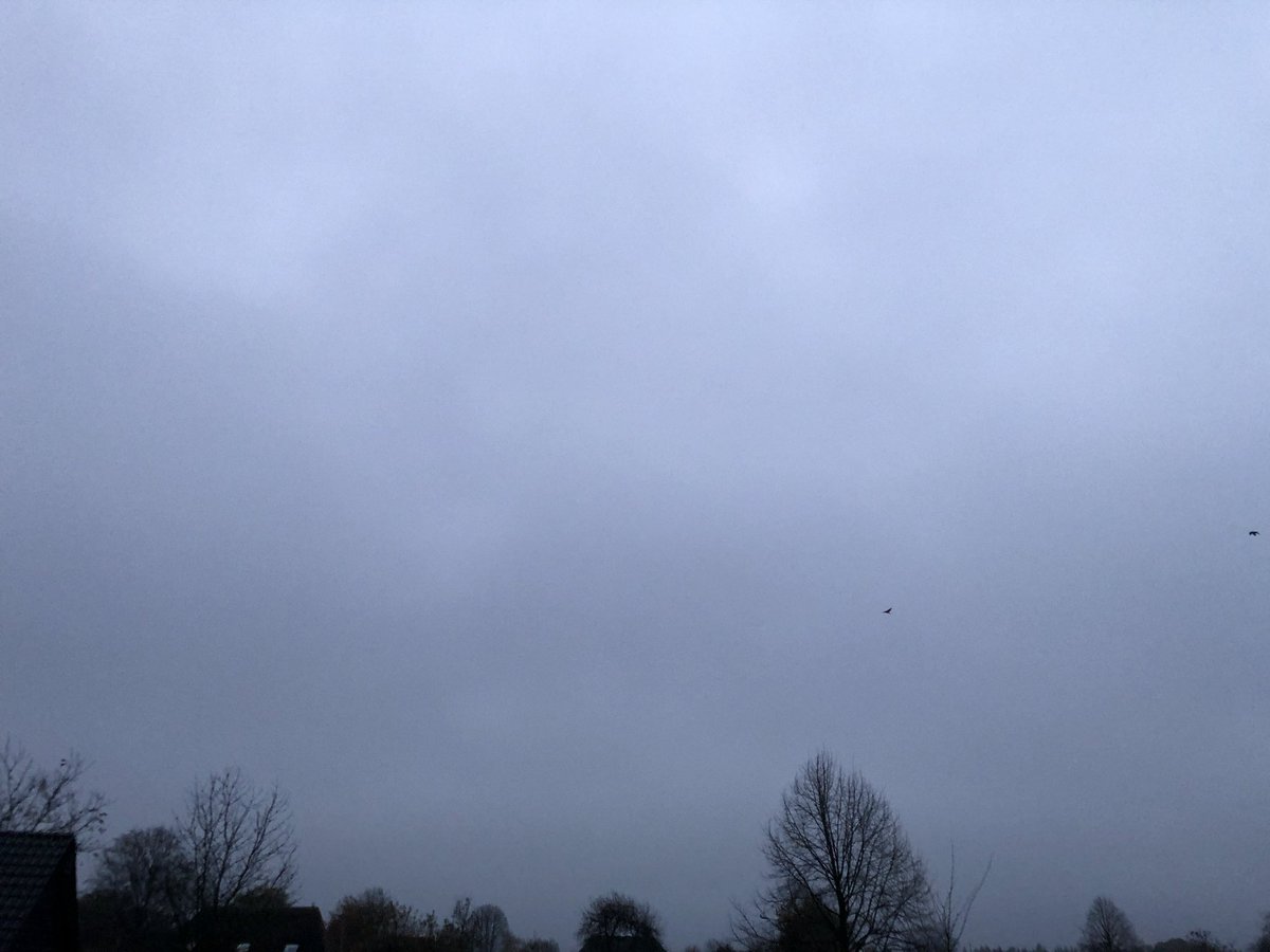Jeanet99's tweet photo. Goedemorgen! https://t.co/xIiwX16oLO