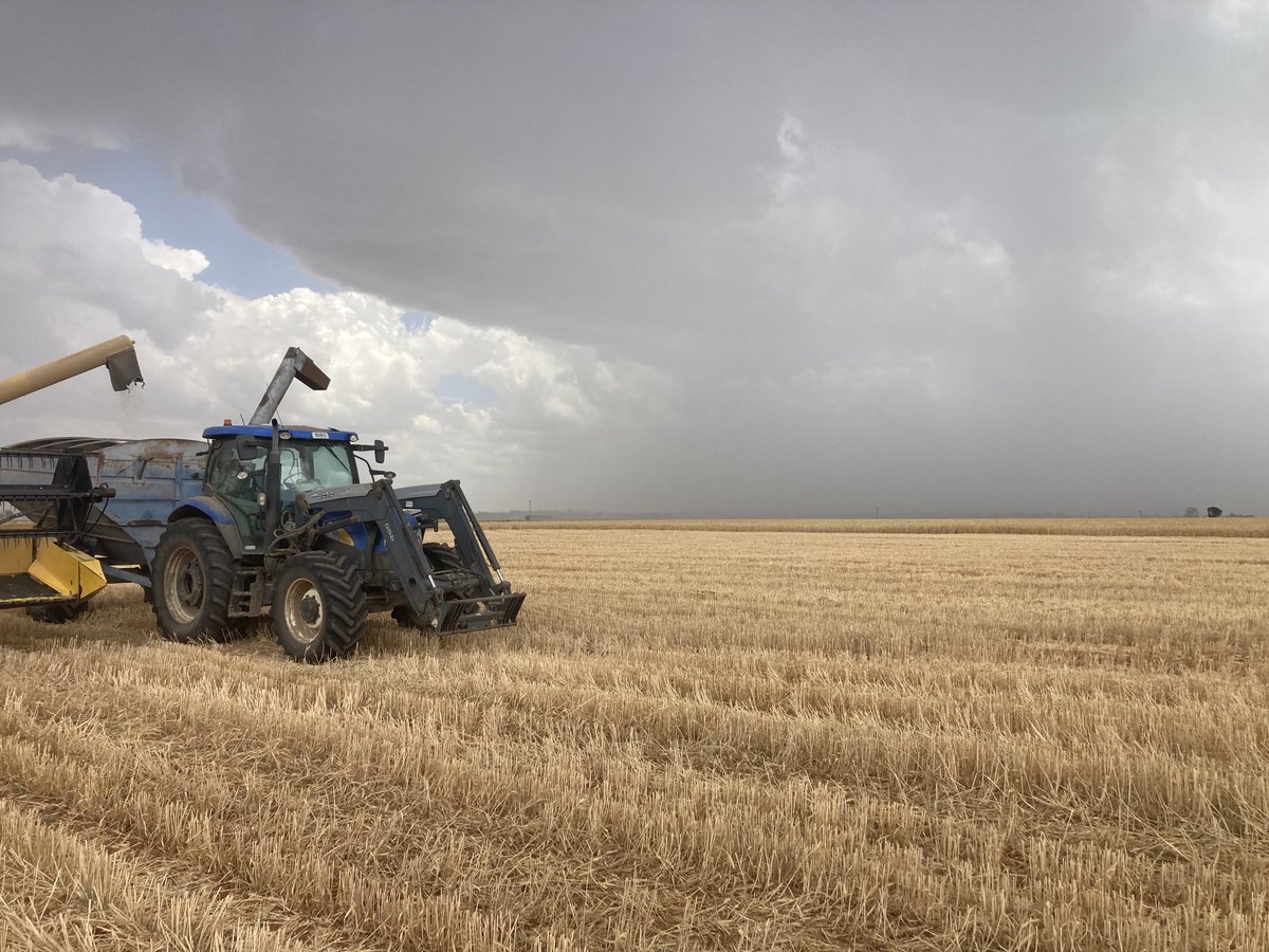 Only 10mm rain , lucky there was hail to bulk it up