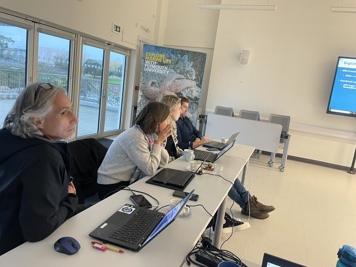 Prof Emma Sheehan tweet media