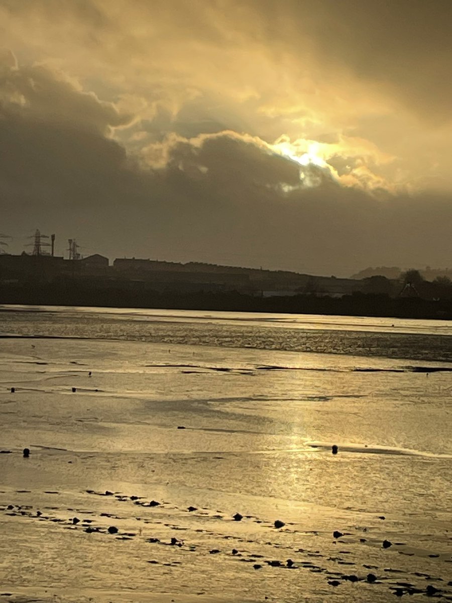 Marine Scientists in #ICESWGMPA <a href="/ICES_ASC/">ICES</a> from Canada, Sweden, Norway, France, Ireland, UK, Italy, Netherlands, Germany and Spain (and more) are gathering in Plymouth to discuss #MPA challenges and solutions for ambitious sustainable management <a href="/PlymUni/">University of Plymouth</a> 🦞🦞🦞