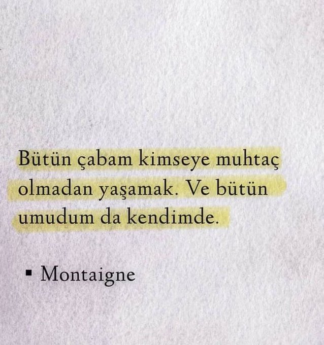 Bir Montaigne meselesi..