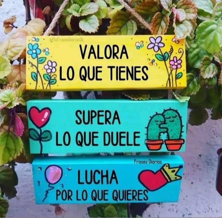 VidaEquilibrada (@vidaequilibrad4) on Twitter photo 
