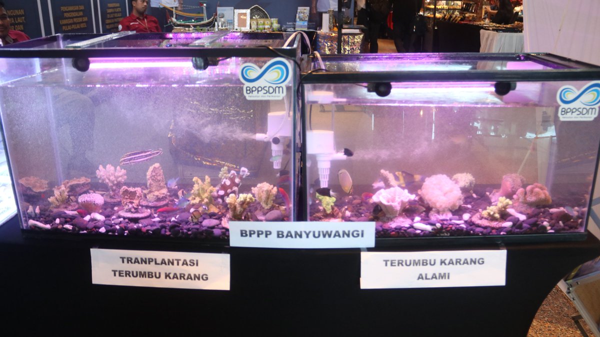 BPPSDM KKP tweet media