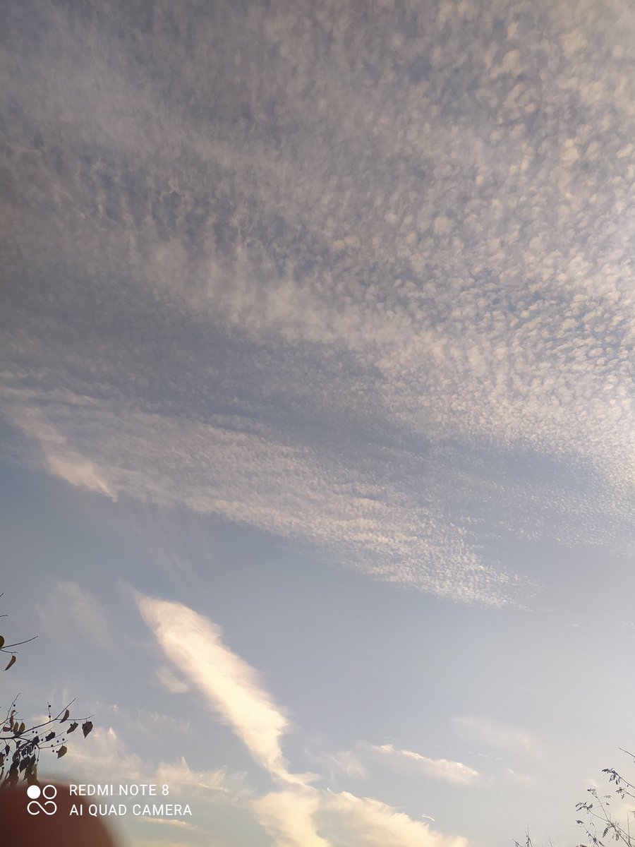 Mon_condensat's tweet photo. Que tota bona Sort i bona energía disponible vingui a mi ara mateix. És benvinguda, i agraïda. Gràcies... bon dia https://t.co/DQXb4gQUC8