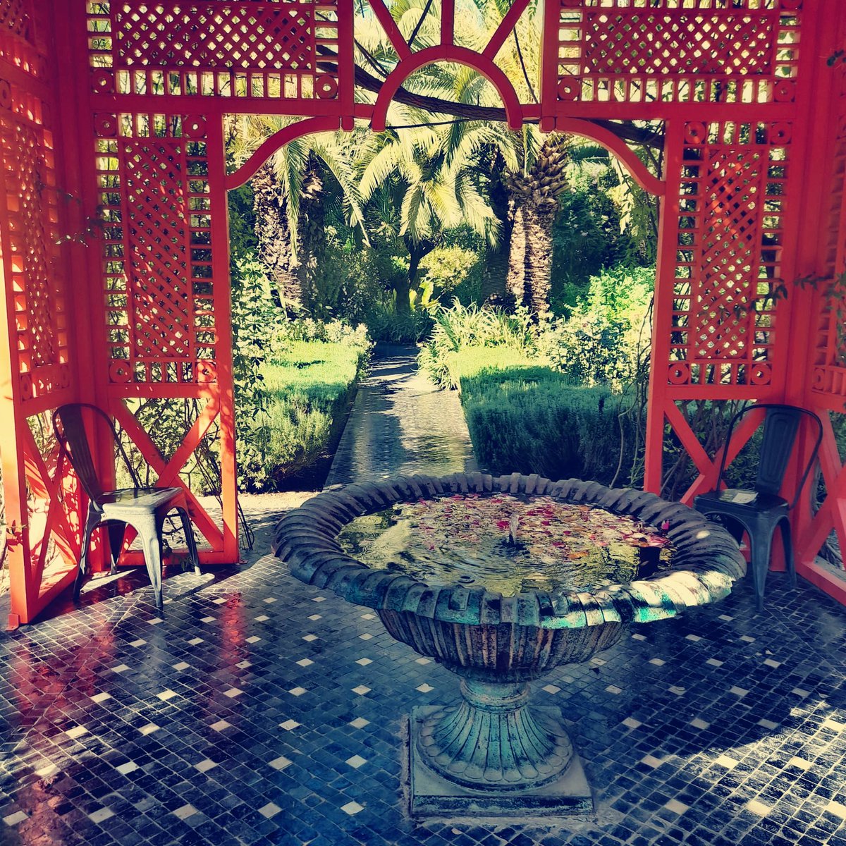 dieleserin2's tweet photo. #Gärten
#Marrakesch
#colorRed
#Schönheit https://t.co/AYeNeyhgbZ