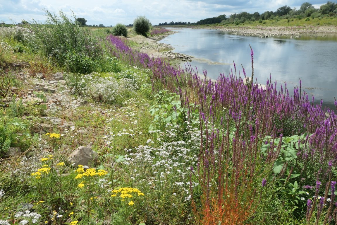 Geef water en natuur jouw stem! Omdat de toekomst van volgende generaties nu begint. Stem progressief!