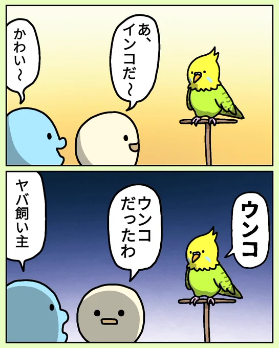 インコ #絵 #イラスト #お絵描き #落書き