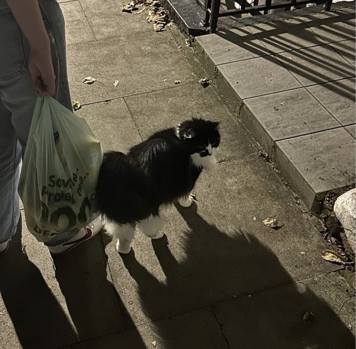 conan gray updates tweet media