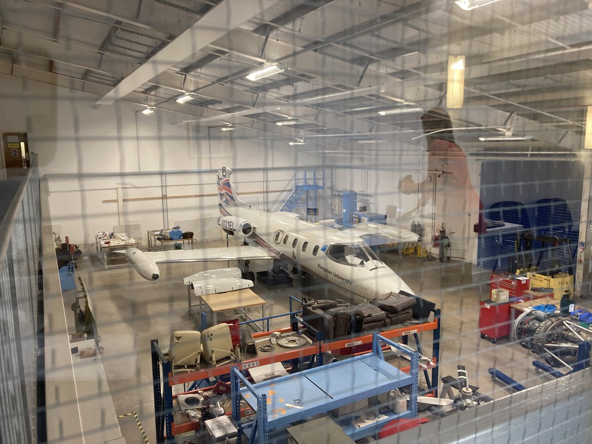 Harriet Dismore tweet media