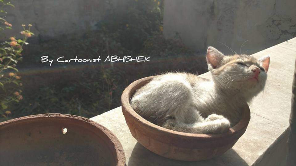 abhishek3939's tweet photo. जो आत्मा को ठुकराता है
परमात्मा कब बन पाता है ??
~ सरशार सिद्दीकी
#mydailyclick https://t.co/c5oAd52zzC