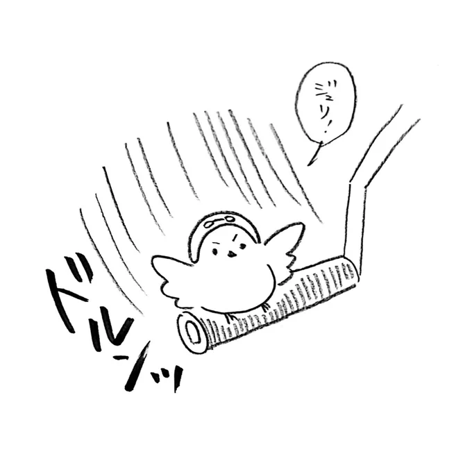 キックスタートを手伝うおもち