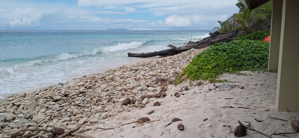 ICSSeychelles's tweet photo. This is how the beach of Aride Island looked like yesterday. For the past 2 years, the re-opening of the Nature Reserve has been delayed by at least two months as we wait for the tides to redeposit sand on the only beach on the island. #visitseychelles #Aride #TourismSeychelles https://t.co/QhN0cS9has