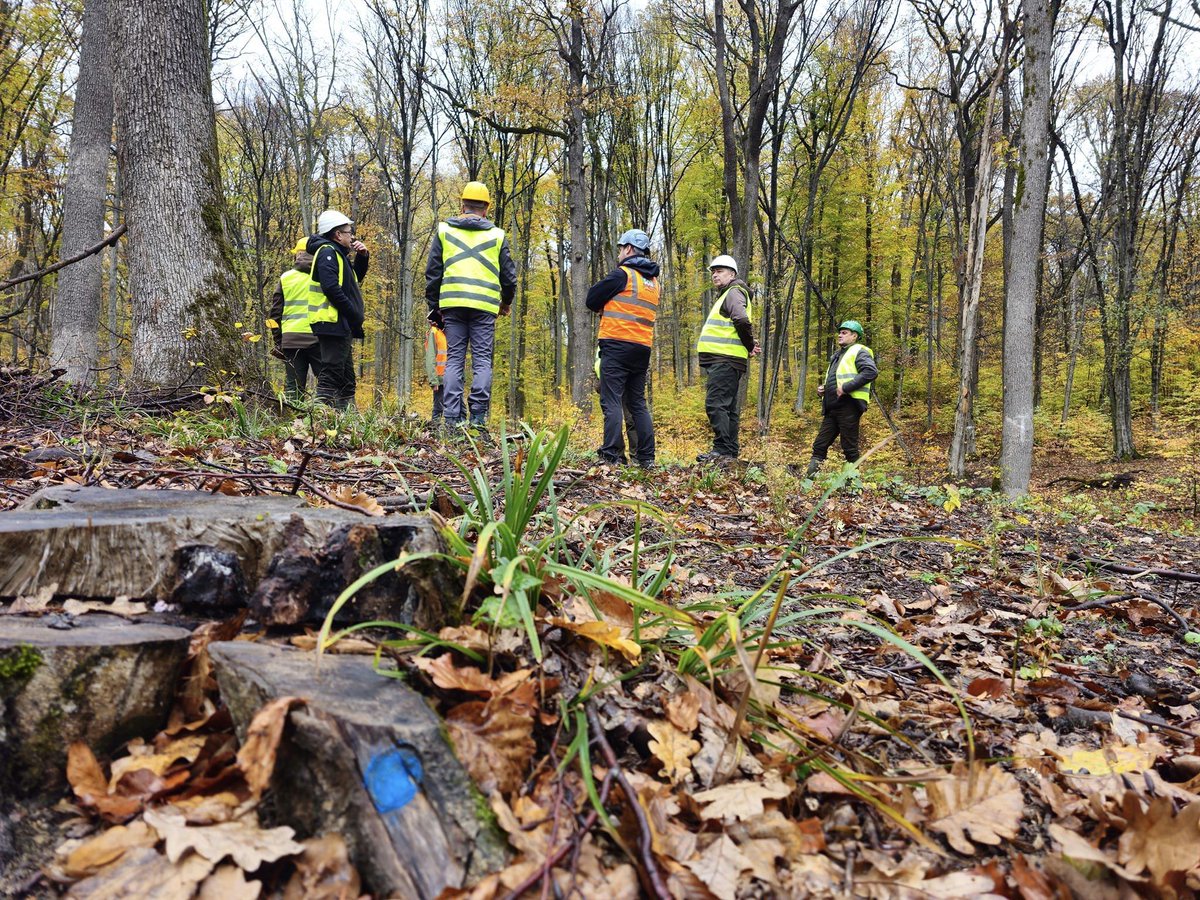 RNP_Romsilva's tweet photo. 📷 Audit PEFC la Direcția Silvică Iaşi
📷PEFC Romania completed the audit at Iași Forest Directorate, with a view to international certification for the sustainable management of forests owned by the state
#Forests #Forestry #PEFC #Romsilva #pefccertified #sustentable #Romsilva https://t.co/NJ4cFB6Zod