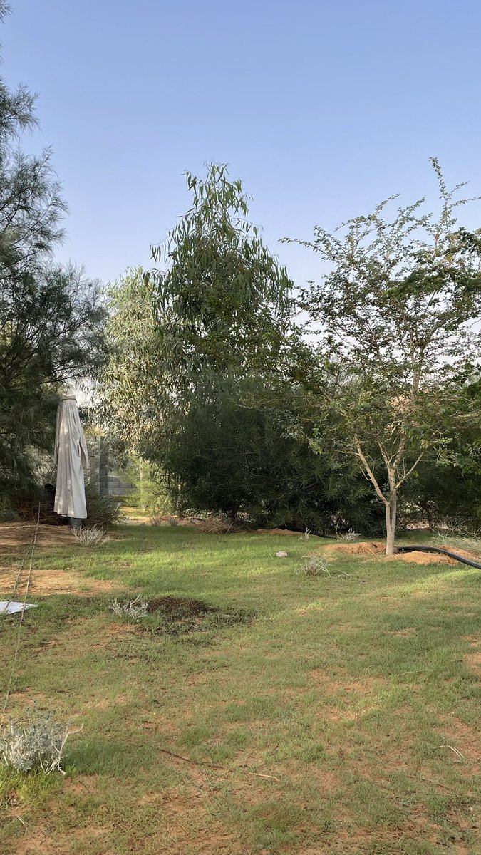xridaam's tweet photo. شعور و اجواء المزعة غيير للابد فعليا طلعت طاقة شهر كامل بيوم غنيت رقصت تسابقت كل شي بخاطري سويته 🫂🤍🤍 https://t.co/p8SuJ5wcRb