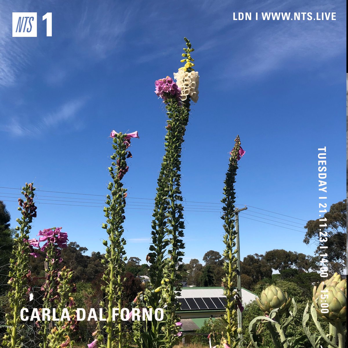 Back playing tunes for you this arvo on <a href="/NTSlive/">NTS Radio</a>