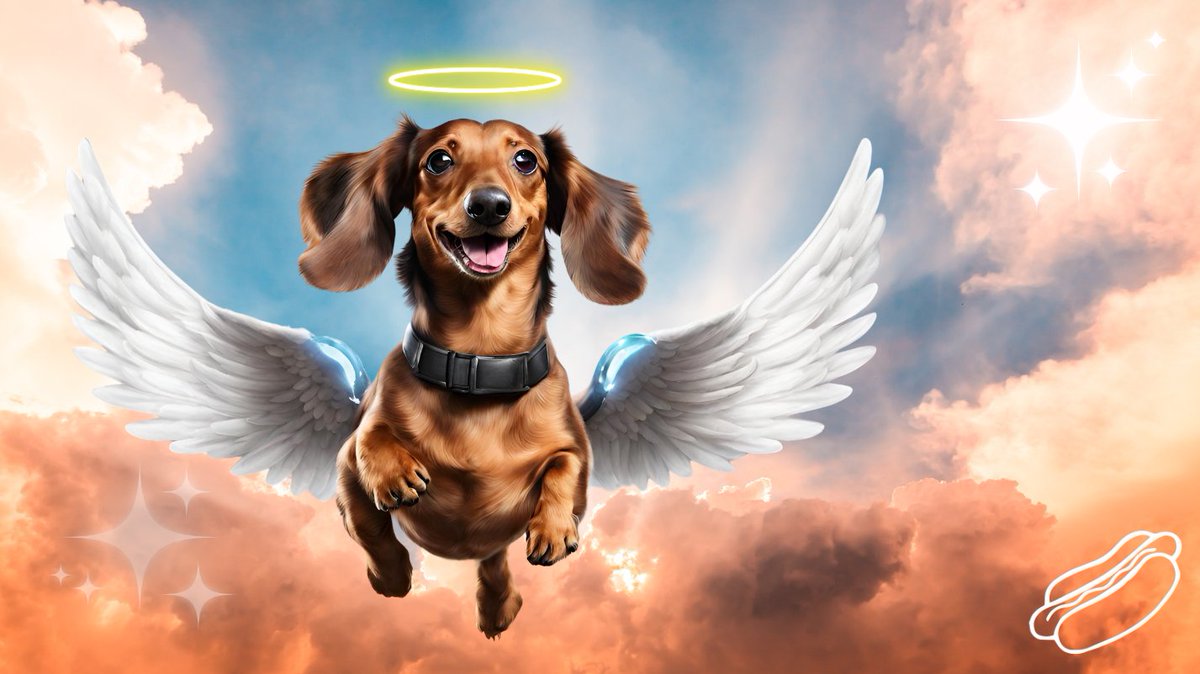 SpaceDogBowie's tweet photo. All sausages go to heaven 👼🌭

#Bowie https://t.co/uzVomKT3uw
