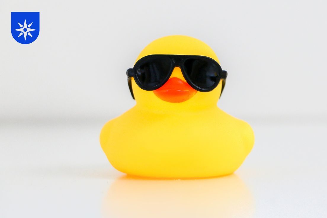 PJHayman's tweet photo. 🦆 If it looks like a duck - it's a duck.The UK Civil Aviation Authority warns us to be cautious when viewing deals on #BlackFriday &amp; #TravelTuesday. 💪Within doubt? Book trips via credit card &amp; buy #travelinsurance.View ours - #travelwithconfidence. ➡️ https://t.co/Iit8ah6cCL https://t.co/sRBvyVNFly
