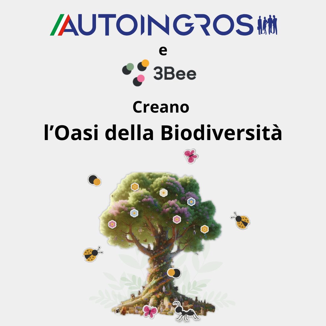 Autoingros's tweet photo. Oggi è la Giornata Nazionale degli Alberi e ci siamo affiancati al partner scientifico 3Bee per dare vita alla nostra Oasi della Biodiversità!
L’Oasi è ora composta da 2000 alberi, che assorbiranno 62.726 kg di CO2!
Aiutaci a renderla ancora più grande: https://t.co/f4eHNHActv https://t.co/n8Gi9lL7Yy
