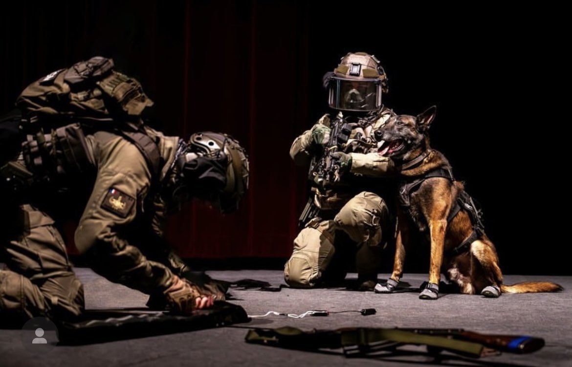 AllaisF's tweet image. 🇫🇷🐾Gign.  "Demo"  #RetourSur le salon #Milipol qui s'est déroulé à Villepinte du 14 au 17 novembre. ——————-📷interieur_gouv