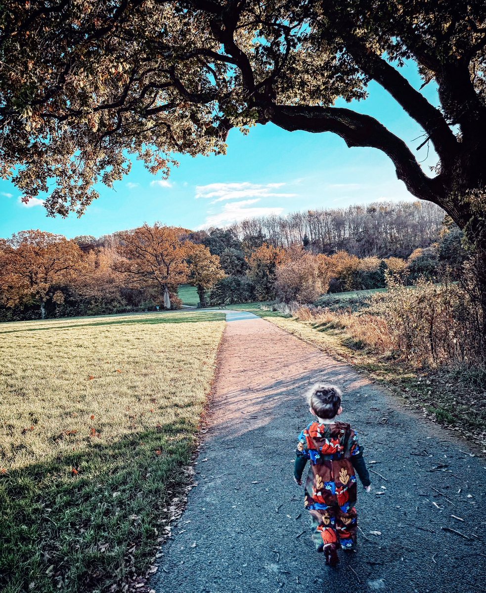 Autumn wonderland 🍂 

#photooftheday #photography #naturephotography #naturelovers #portraitphotography #portrait #outdoors #autumn #autumnvibes #momlife #letthembelittle #explore