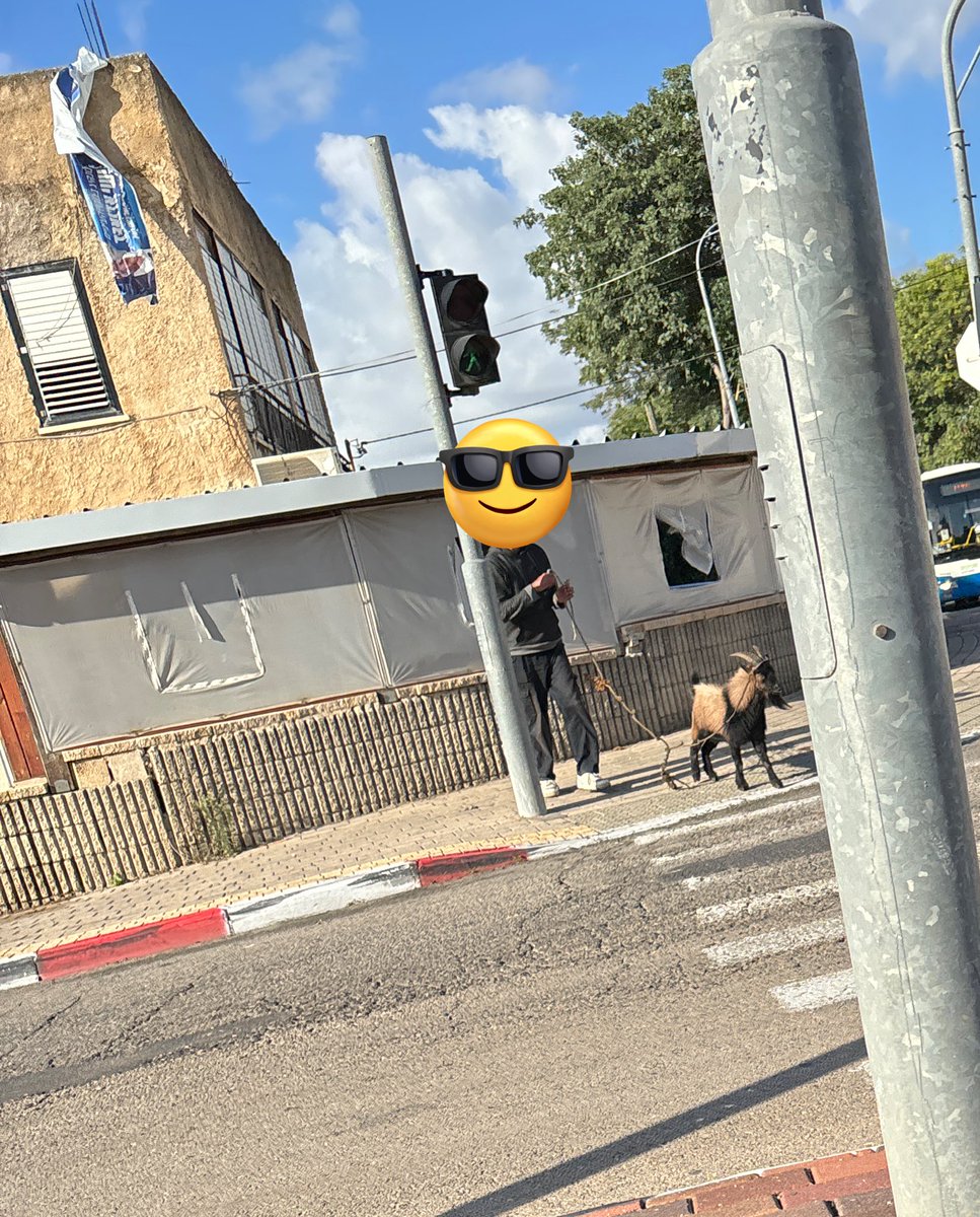 Michael Levit 🤷‍♂️🤦🏼‍♂️ tweet media