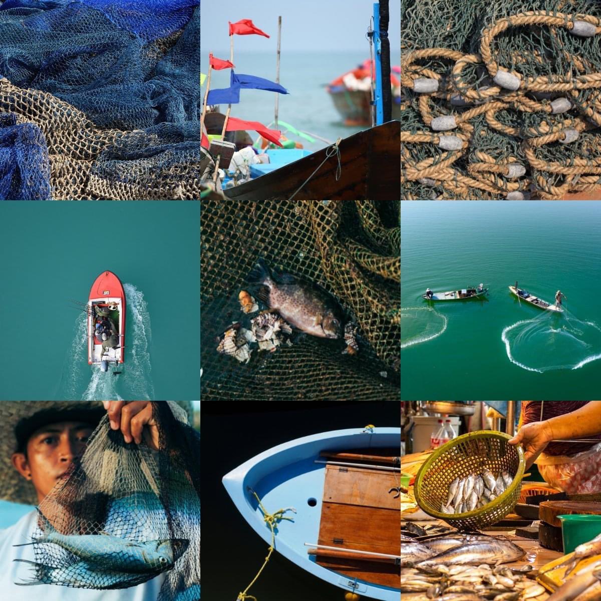 ipbesfr's tweet photo. C'est la #JournéeMondialeDeLaPêche !🎣

La pêche non durable est un facteur clé de la perte de #biodiversité marine.

Nous pouvons assurer une production alimentaire durable provenant de l'océan et protéger les espèces &amp; écosystèmes marins. 🐟🐠

➕Évaluation mondiale de l'@IPBES https://t.co/bvalk4I355