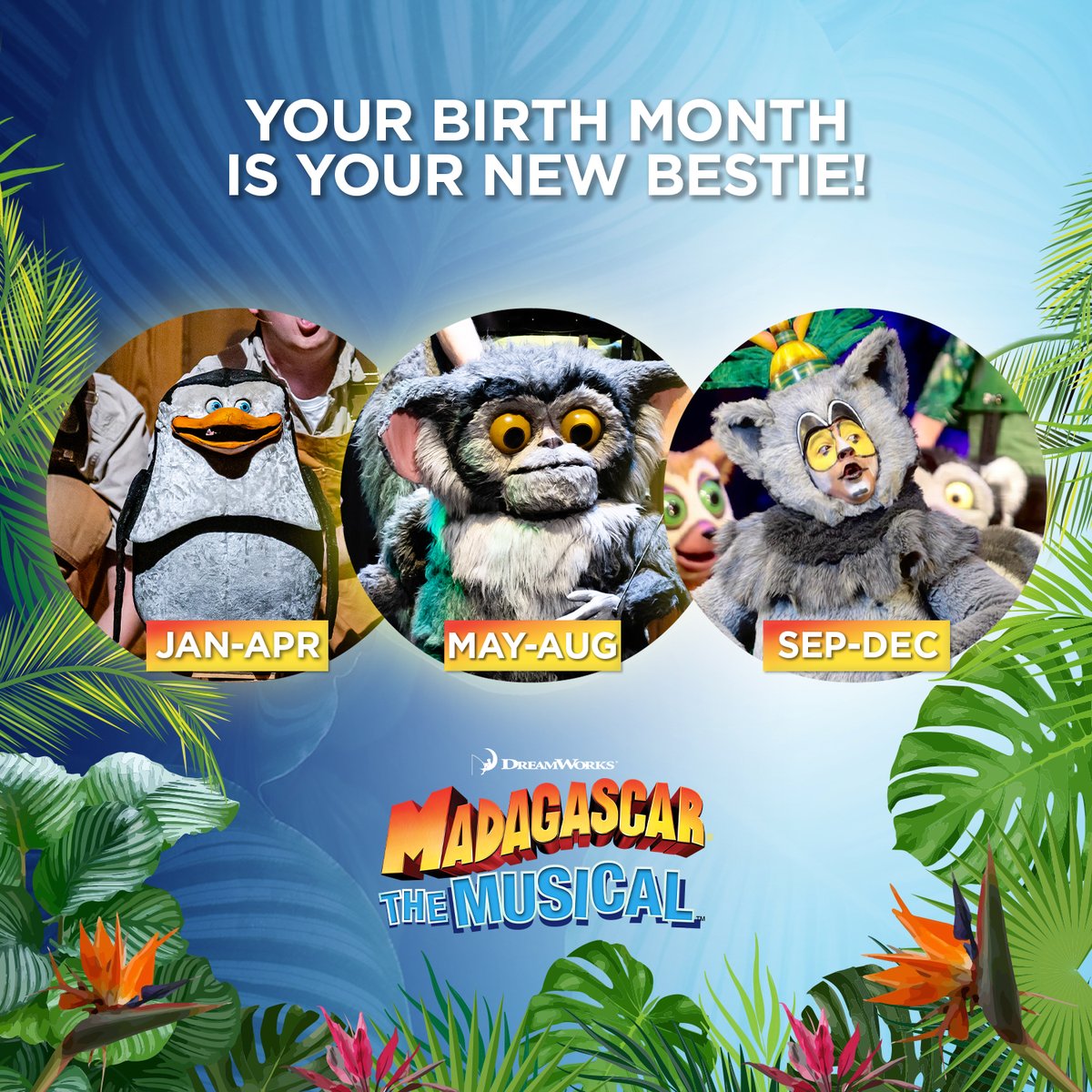 It’s your first day in the jungle, who is your new bestie? 🌴 #MadagascarMusical