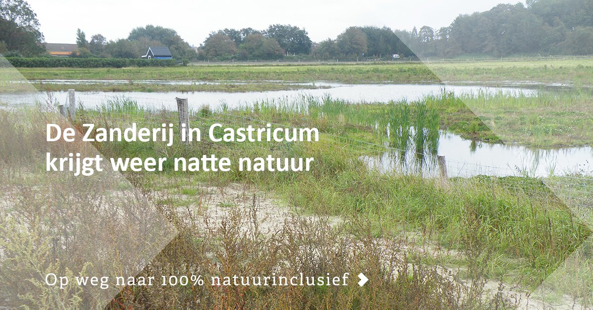 Duingebied De Zanderij in Castricum krijgt weer natte natuur. Dat is nodig om het duingebeid De Zanderij klimaatadaptief te maken. Lees welke impact de maatregelen hebben ow.ly/e4JS50Q9MGo

#Eelerwoude #opwegnaar #100procent #natuurinclusief #PWN #Zanderij