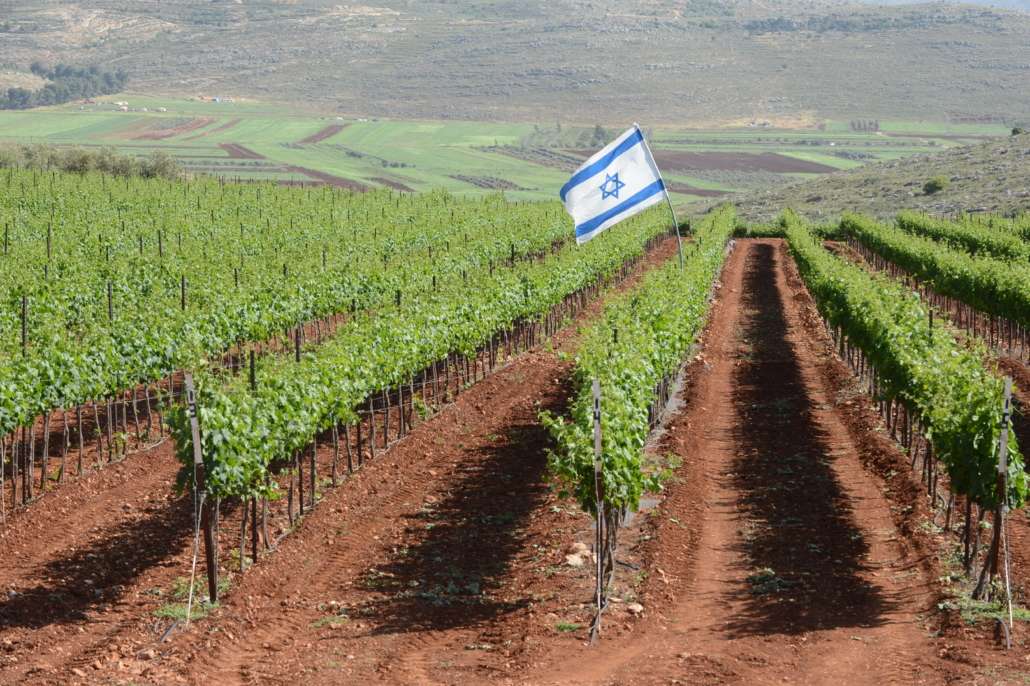 Wine Meridian tweet media