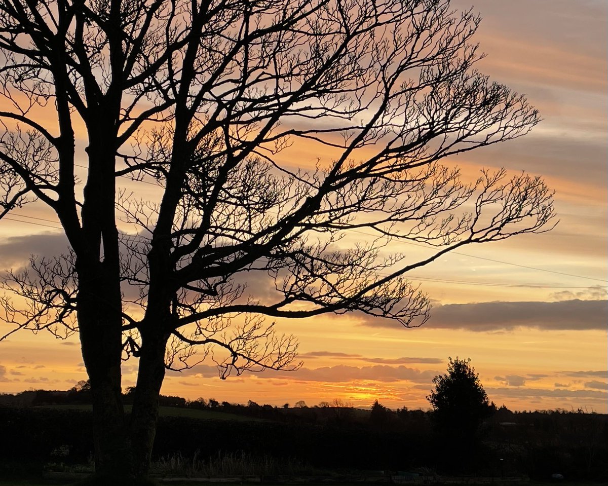 ProfMPatterson's tweet image. Beautiful sunrise at Carryduff @bbcniweather @WeatherCee