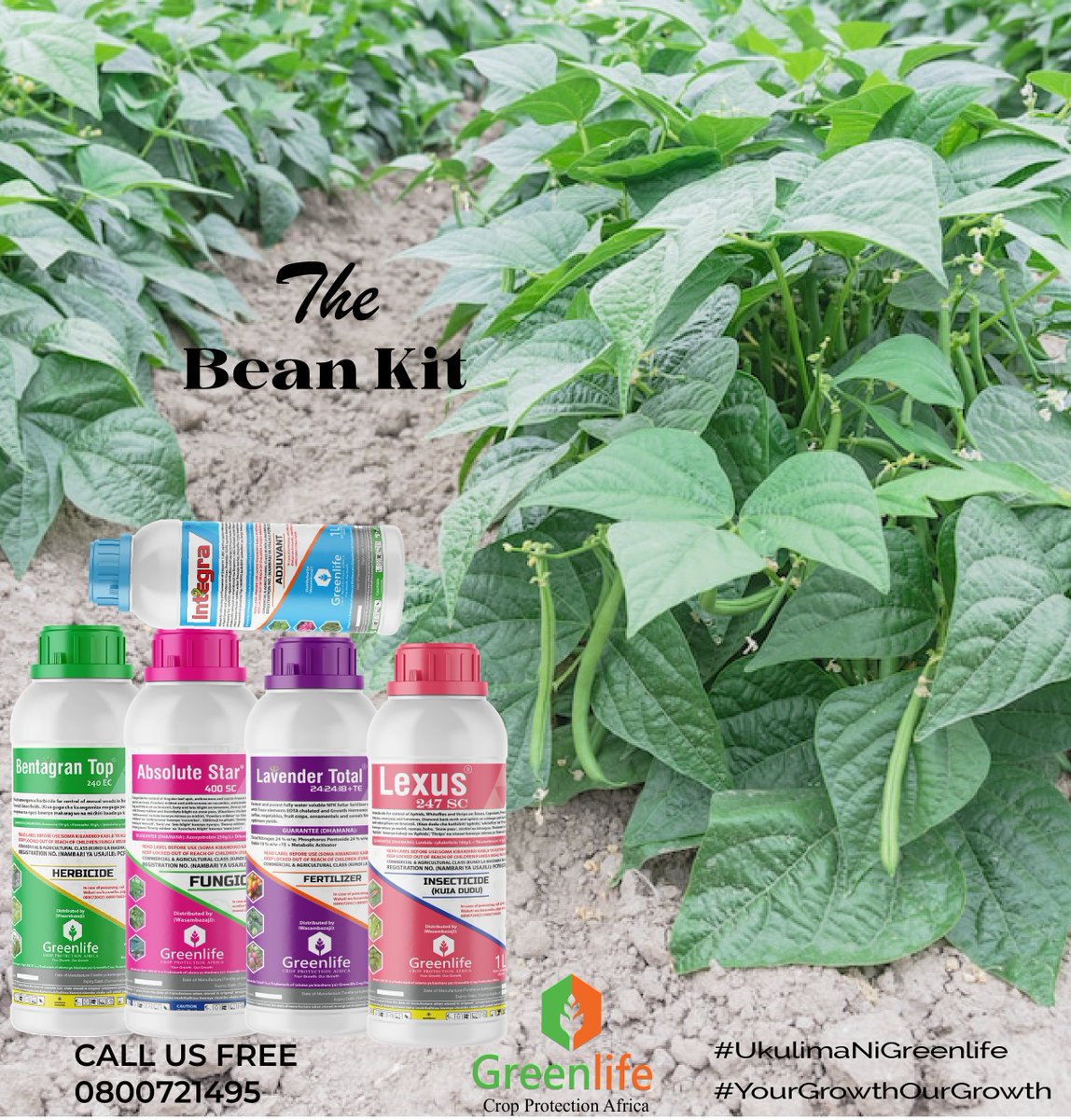 THE BEAN KIT📷📷📷 This is a MUST-have for every farmer who has planted beans or Green grams. 📷 Bentagran Top 240 EC 📷 Absolute Star 400 EC 📷 Lavender Total ~ 📷 Lexus 247 SC #ShambaShwari #UkulimaNiGreenlife #YourGrowthOurGrowth